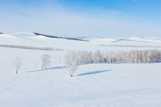 冬季雪原树林蓝天白云