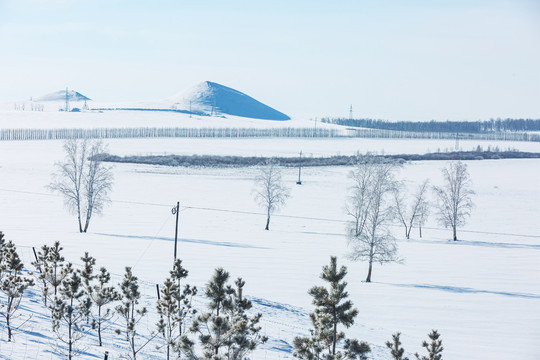 冬季雪原森林树木