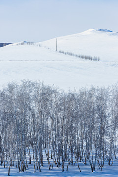 雪山树林