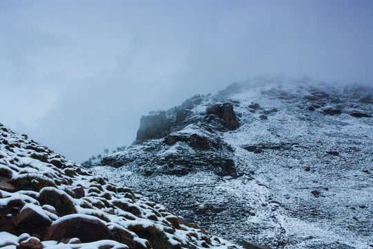 雪景