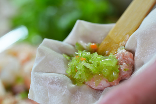 芹菜馄饨