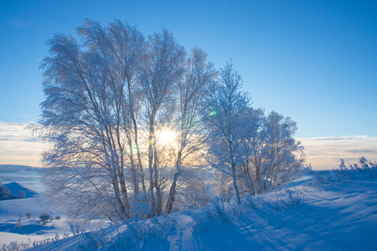 雪景