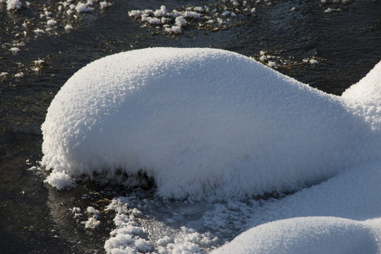 雪蘑菇