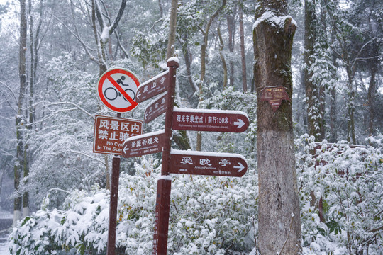 湖南长沙岳麓山雪景