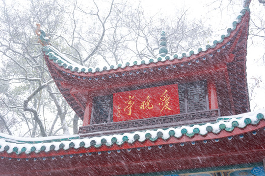 长沙岳麓山爱晚亭雪景