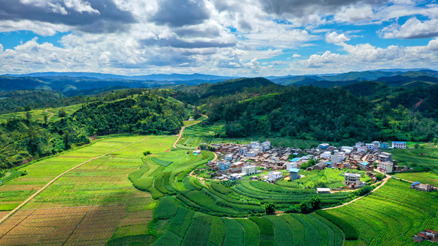 秋雾朝霞