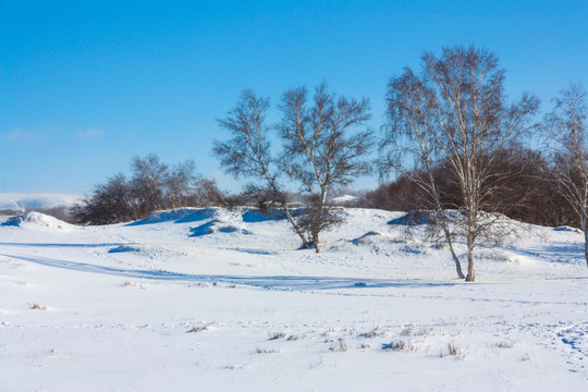 雪景