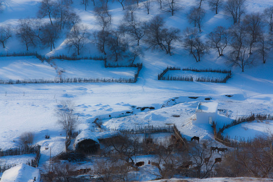 雪景