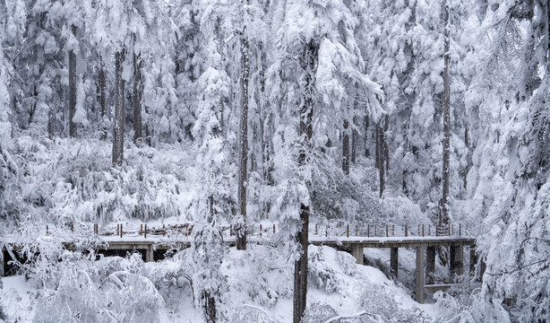 雪山游步道