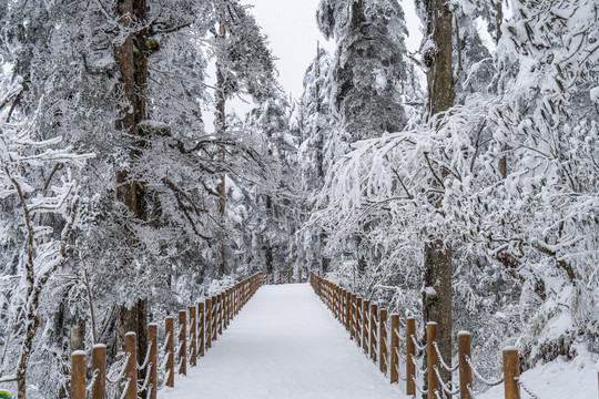 雪山游步道