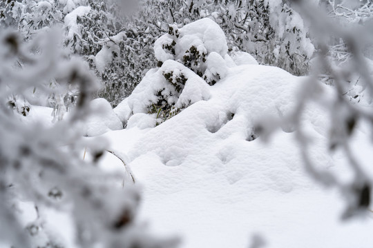 积雪