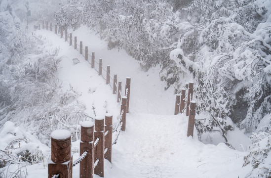 游步道积雪