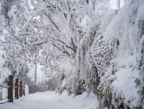 瓦屋山雪景