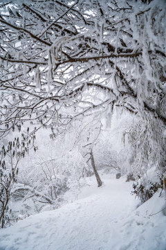 瓦屋山雪景