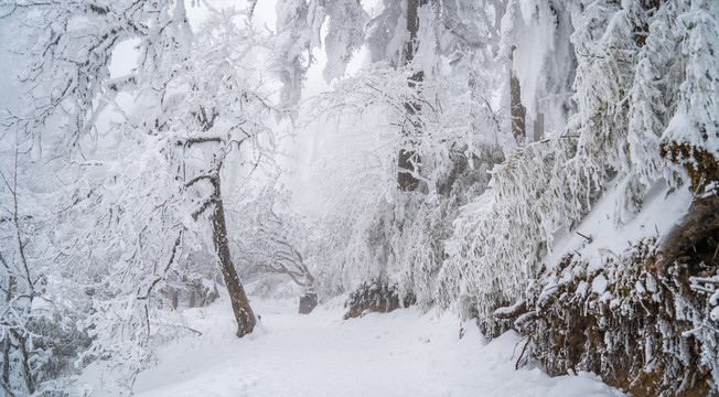 瓦屋山雪景