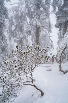 瓦屋山雪景