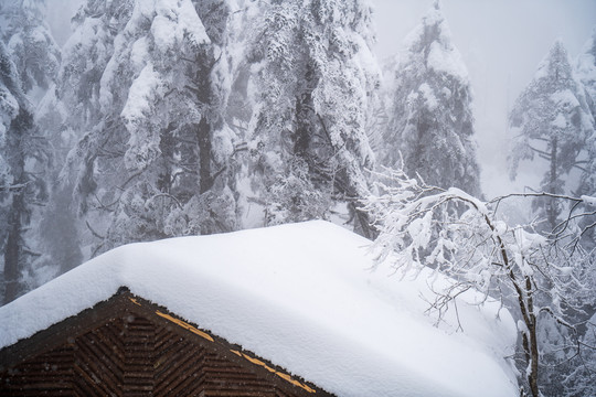 房顶上压满积雪
