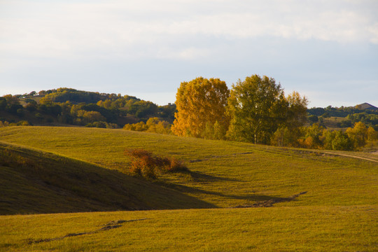 风景