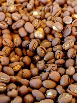 精品咖啡豆