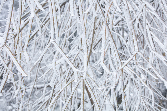 雪景雾凇