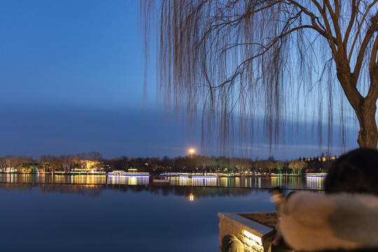 湖泊夜景