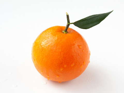白背景上的一个纽荷尔脐橙