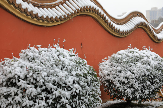 红墙雪景