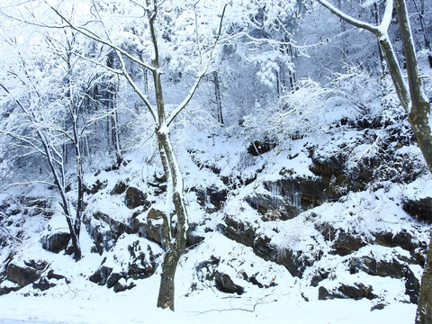 庐山雪景