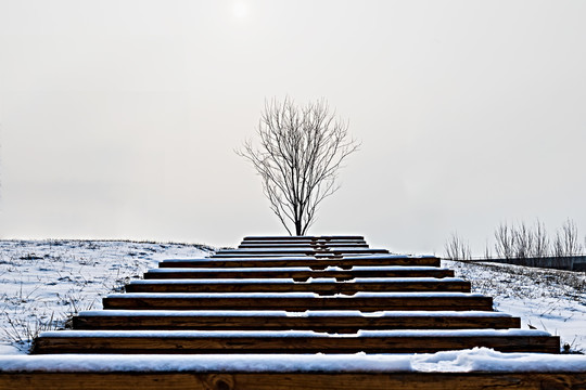 雪后城市公园