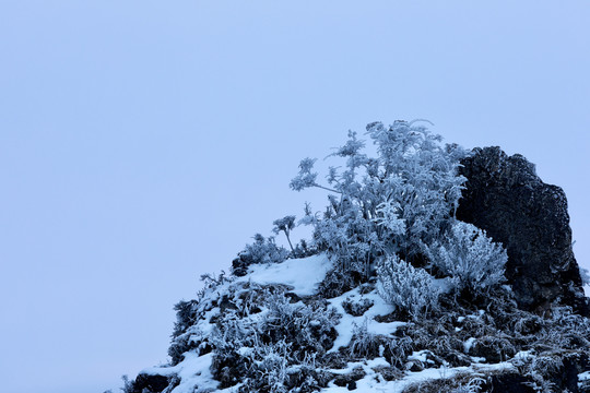 牛背山风光