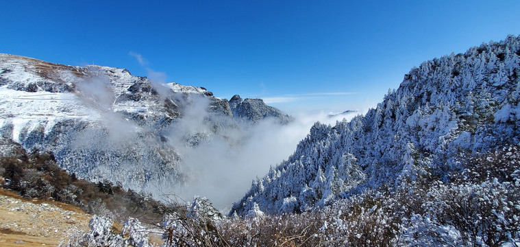 高山云海雪山