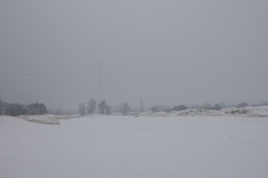 雪与草坪