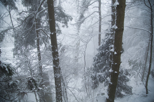 庐山雪景