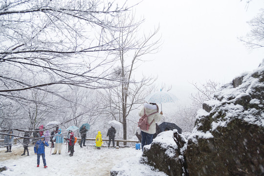 苏州树山村雪景