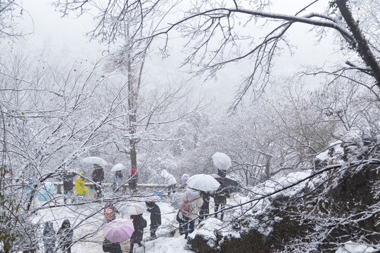 苏州树山村雪景