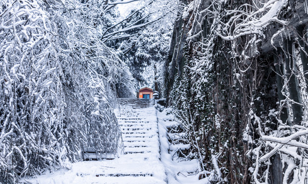 雪景