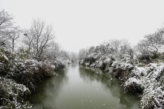 乡间雪韵别样美