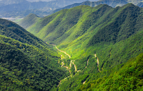 乡级公路