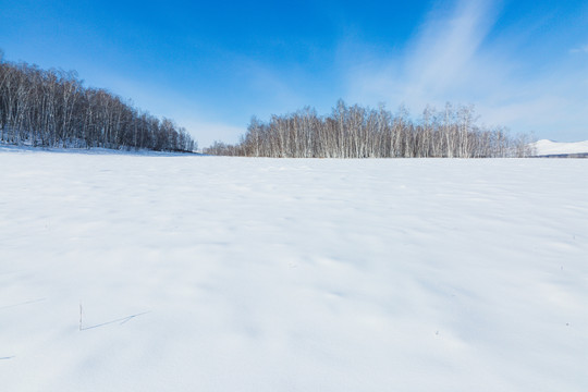 冬季森林草原蓝天白云