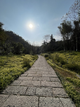 幽静小路