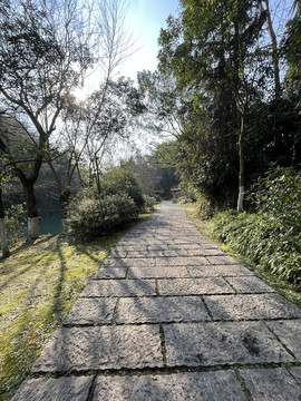 幽静小路