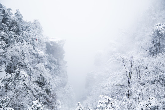 庐山雪景