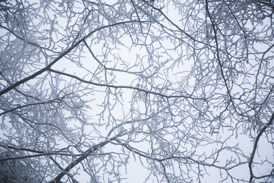 庐山雪景