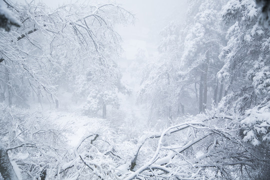 庐山雪景