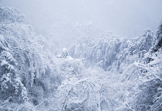 庐山雪景