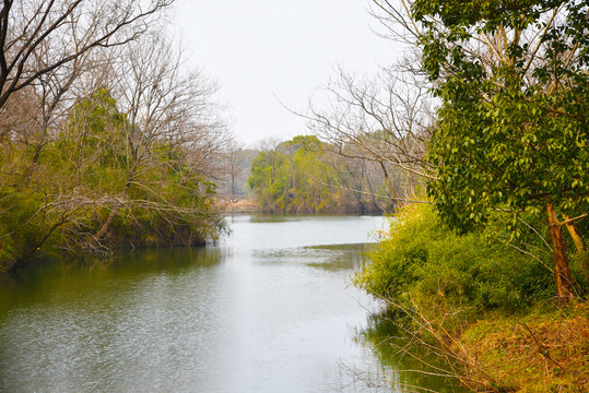 杭州西溪湿地一角