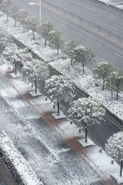 雪景