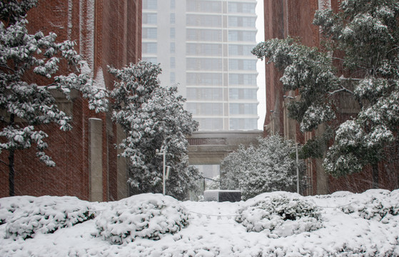 雪景