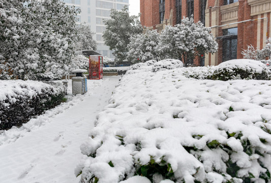 雪景