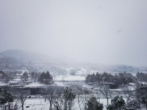 江南雪